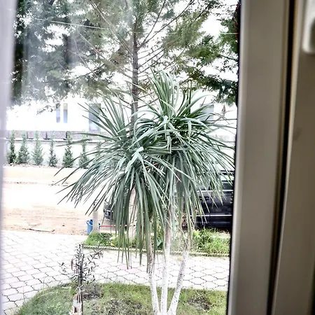 Apartment Golem Golem (Tirana)